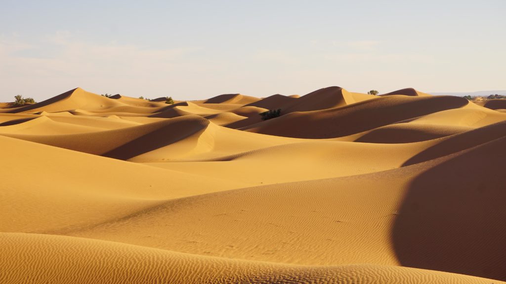 Sahara - Maroc - Janv2019