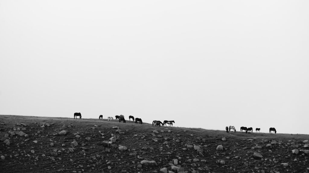 Col de Tossor - 3893m, Kyrgyzstan - Aout 2024