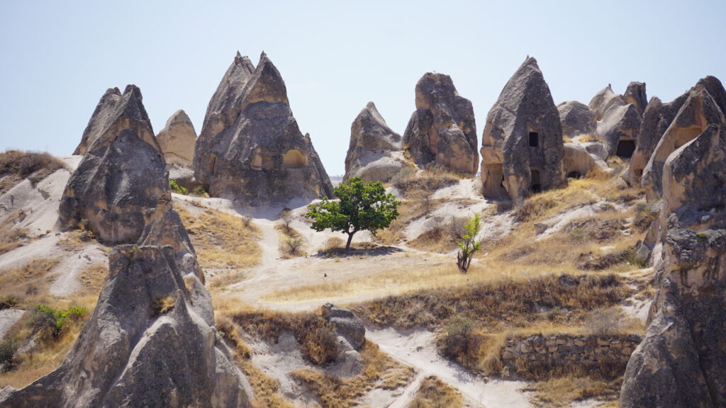 Rose Valley - Cappadoce, Turquie - Aout 2024